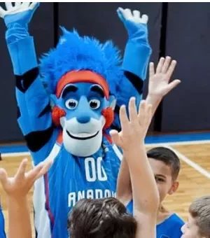 VOLEYBOL Ödemesi